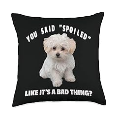 Spoiled maltese dog for sale  Delivered anywhere in USA 