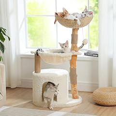 Pawz road modern for sale  Delivered anywhere in USA 
