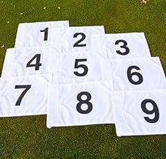 Numbered golf pin for sale  Delivered anywhere in Ireland