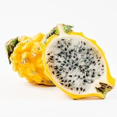 Yellow dragon fruit for sale  Delivered anywhere in USA 