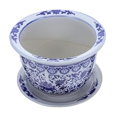 Blue white flower for sale  Delivered anywhere in USA 