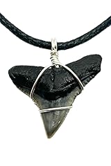 Sunken hunter fossilized for sale  Delivered anywhere in USA 