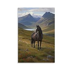 Horses scottish highlands for sale  Delivered anywhere in UK