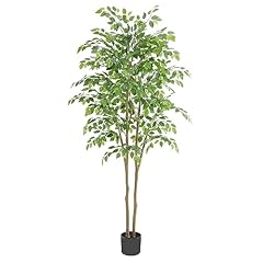 Nafresh tall ficus for sale  Delivered anywhere in USA 