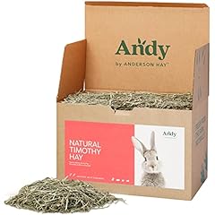 Andy 2nd cut for sale  Delivered anywhere in USA 