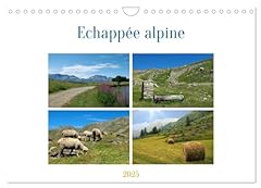 Echappée alpine d'occasion  Livré partout en France