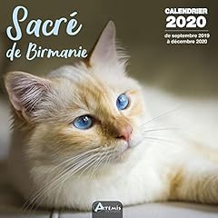 Calendrier sacré birmanie d'occasion  Livré partout en France