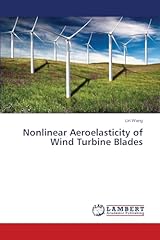 Nonlinear aeroelasticity wind usato  Spedito ovunque in Italia 