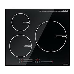 Ecotouch burner induction for sale  Delivered anywhere in USA 