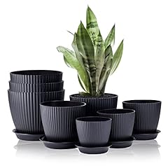 Foragift pack plant for sale  Delivered anywhere in UK