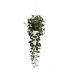 Nearly natural philodendron for sale  Delivered anywhere in USA 