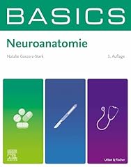 Basics neuroanatomie gebraucht kaufen  Wird an jeden Ort in Deutschland