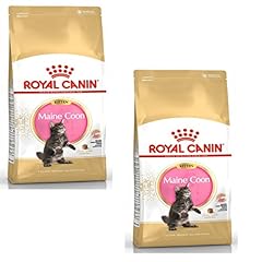 Royal canin maine usato  Spedito ovunque in Italia 