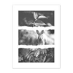 Black white photography for sale  Delivered anywhere in UK