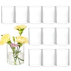 Dnanaol 12pcs glass for sale  Delivered anywhere in USA 