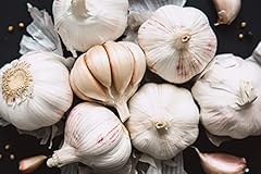 Fresh garlic cloves for sale  Delivered anywhere in USA 
