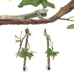 Reptile vines reptile for sale  Delivered anywhere in UK