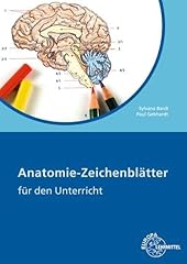 Anatomie zeichenblätter arbei gebraucht kaufen  Wird an jeden Ort in Deutschland
