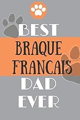 Best braque francais for sale  Delivered anywhere in UK
