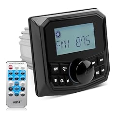 Liwogi marine stereo usato  Spedito ovunque in Italia 