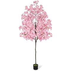 6ft tall cherry for sale  Delivered anywhere in USA 