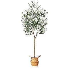 Mosade artificial olive for sale  Delivered anywhere in USA 