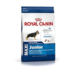 Royal canin royal usato  Spedito ovunque in Italia 
