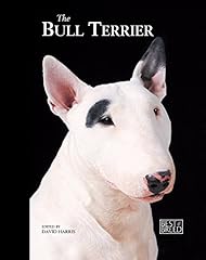 Bull terrier pet d'occasion  Livré partout en France