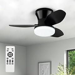 Zoeyon small ceiling for sale  Delivered anywhere in USA 