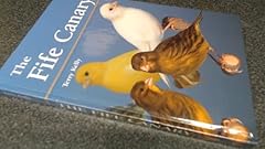 Fife canary for sale  Delivered anywhere in UK