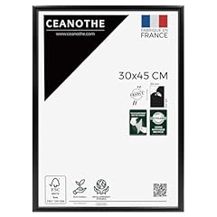 Ceanothe cadre photo d'occasion  Livré partout en France