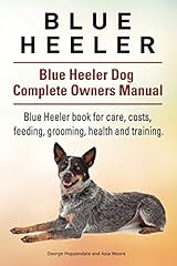Blue heeler. blue for sale  Delivered anywhere in USA 