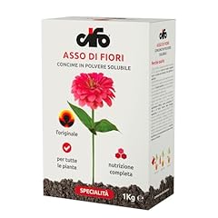 Cifo asso fiori usato  Spedito ovunque in Italia 