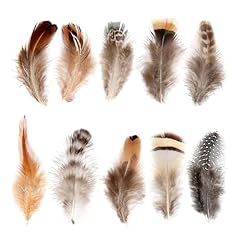 Lamar feather natural for sale  Delivered anywhere in USA 