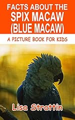 Facts spix macaw for sale  Delivered anywhere in USA 