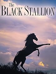 The black stallion usato  Spedito ovunque in Italia 