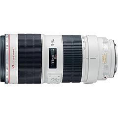 canon 70 200 f 2 8 d'occasion  Livré partout en France