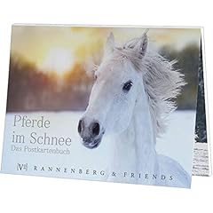 Wunderschöne postkarten pferd gebraucht kaufen  Wird an jeden Ort in Deutschland