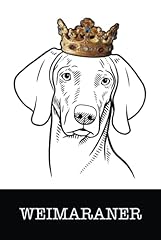 Weimaraner weimaraner king for sale  Delivered anywhere in UK