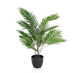 Hjh office plante d'occasion  Livré partout en France