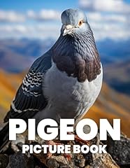 Pigeon picture book for sale  Delivered anywhere in UK