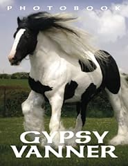 Picture book gypsy d'occasion  Livré partout en France