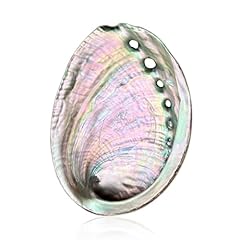 Brbasap abalone shell for sale  Delivered anywhere in USA 