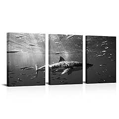 Artsbay shark paintings for sale  Delivered anywhere in USA 