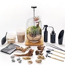 Terrarium kit supplies for sale  Delivered anywhere in USA 