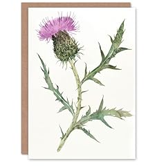 Artery8 single scottish for sale  Delivered anywhere in UK