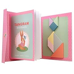 Niwwin magnetischer tangram gebraucht kaufen  Wird an jeden Ort in Deutschland