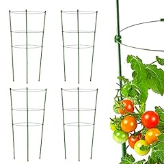 Tomato cage plant for sale  Delivered anywhere in USA 