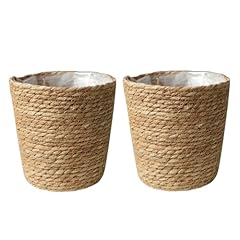 Supvox 2pcs flowerpot for sale  Delivered anywhere in USA 