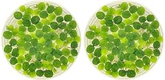 Water spangle salvinia for sale  Delivered anywhere in USA 